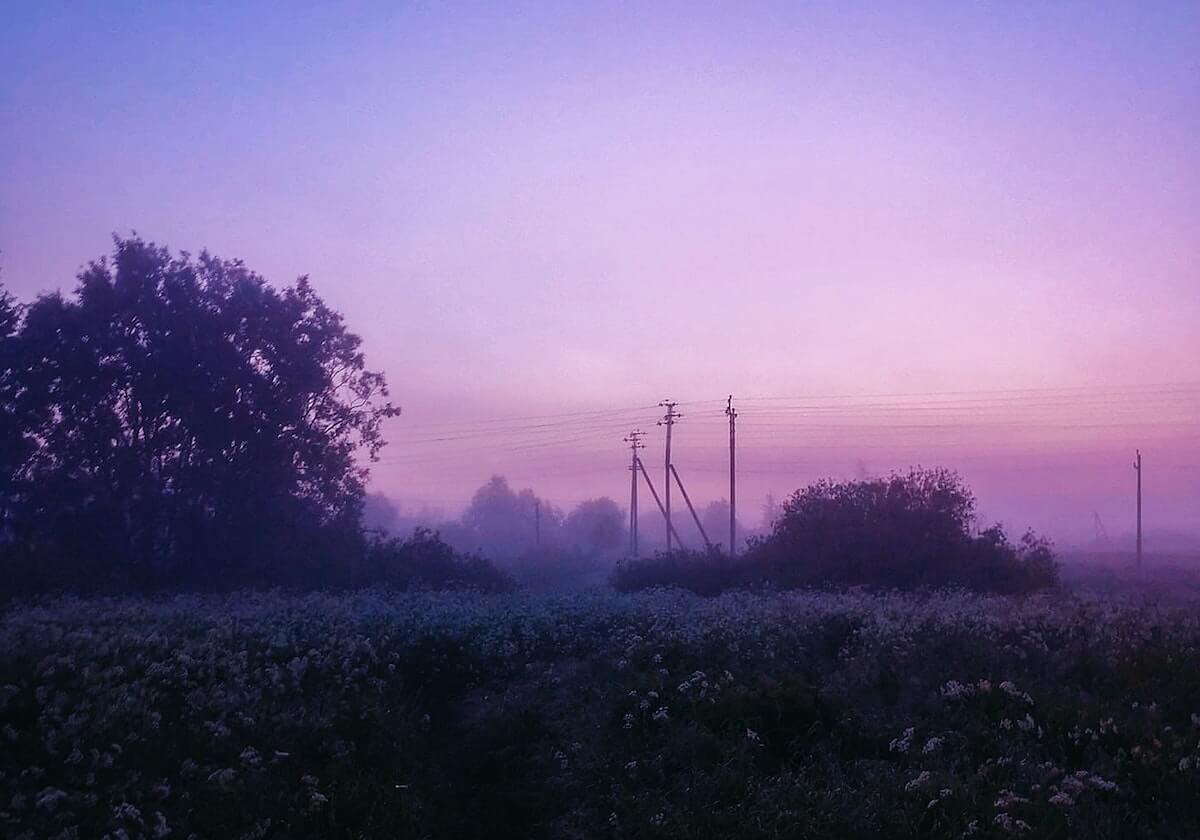 世界杯滚球玩法-农业农村部：对部分地方高标准农田建设中存在的问题，开展专项整治